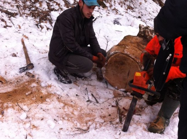 Муніципальна поліція Мукачева спіймала «на гарячому» осіб, які вирубували дерева