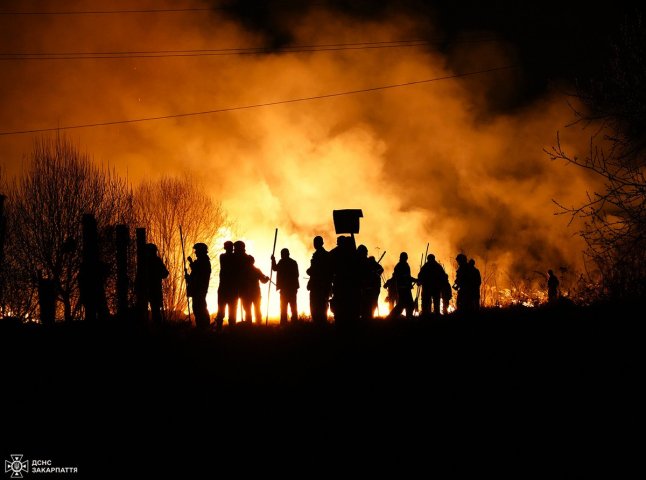 За добу закарпатські рятувальники ліквідували понад 100 пожеж в екосистемах За добу закарпатські рятувальники ліквідували понад 100 пожеж в екосистемах