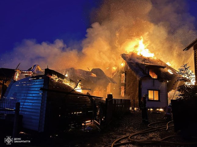 На базі відпочинку у Солотвино спалахнула велика пожежа