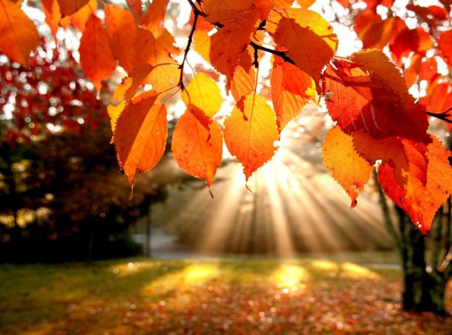 У перші дні жовтня на Закарпатті очікуються рекордні +27 градусів