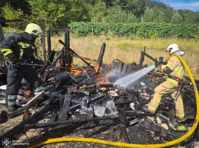Пожежникам у Чинадієві вдалося врятувати будинок від вогню, але дривітня згоріла Пожежникам у Чинадієві вдалося врятувати будинок від вогню, але дривітня згоріла