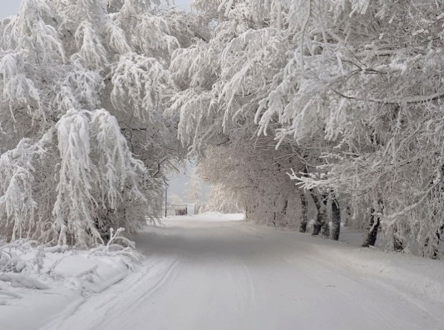 Через півметровий шар мокрого снігу проїзд до шести високогірних сіл на Воловеччині заблокований