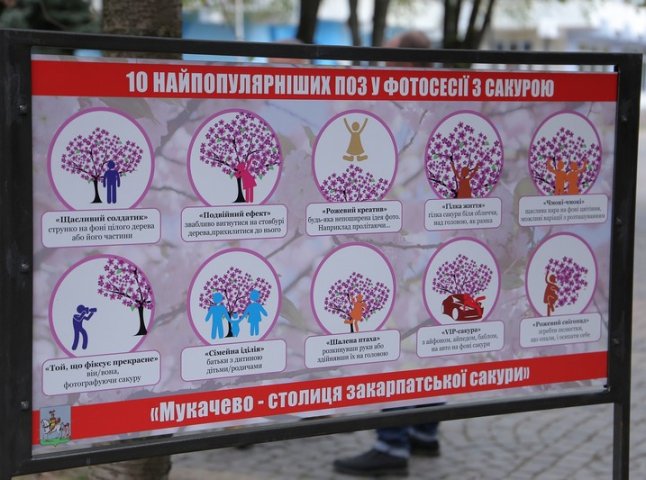 У Мукачеві біля сакур встановили туристичні таблички
