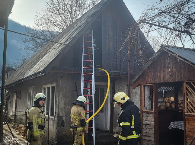 Сусіди поспішили на допомогу: рятувальники розповіли про випадок на Рахівщині