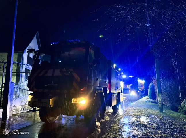 Рятувальники розповіли про пожежу в Іванівцях