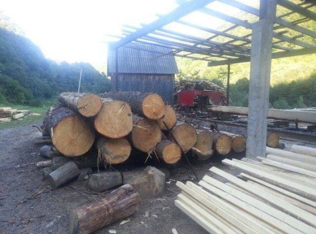 На Хустщині прокуратура виявила незаконну лісопилку з понад 40 куб.м смереки