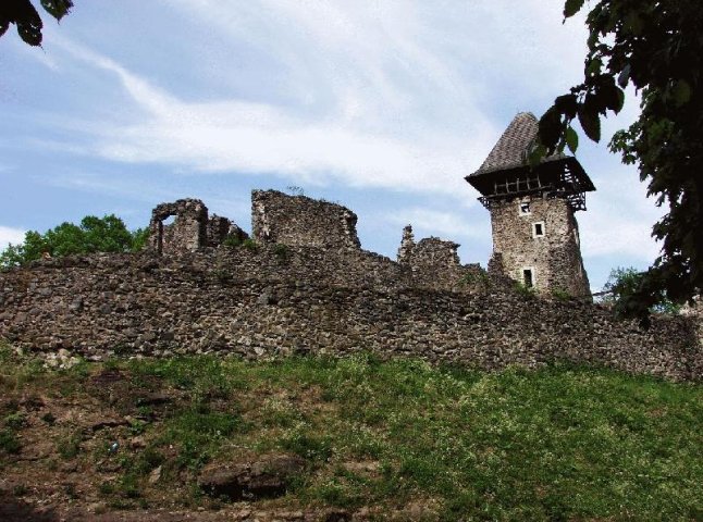 Історики та громадські активісти б’ють на сполох: Невицький замок потребує порятунку