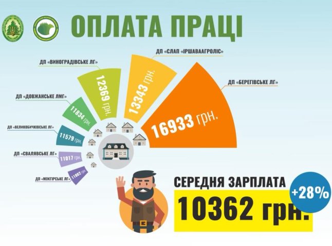 Найбільша зарплата на Берегівщині: названо конкретні суми, які отримують лісівники Закарпаття