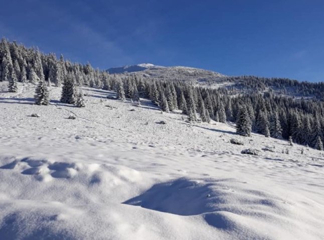 На туристів зійшла лавина в Карпатах