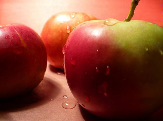 Мукачівці викрали майже 600 кілограмів яблук з ключарківського саду