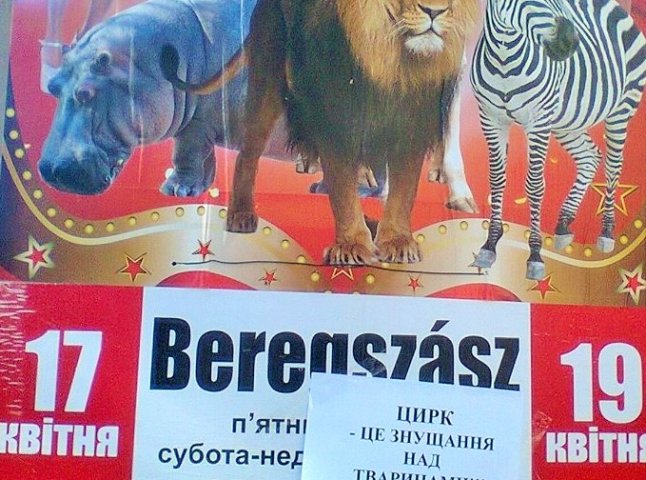 "Цирк – це знущання над тваринами!", – у Берегові розклеїли листівки проти приїзду у місто цирку з Угорщини