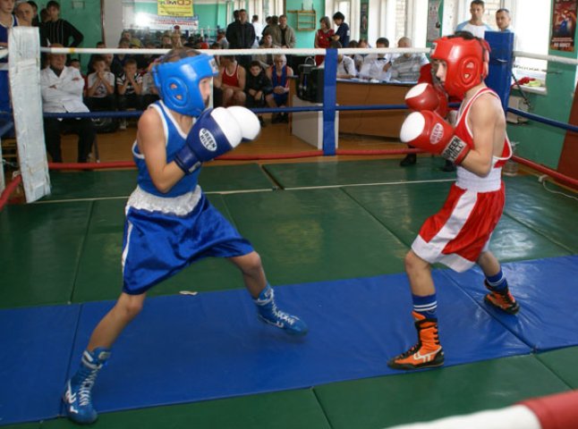 Мукачівські спортсмени здобули 10 перемог на чемпіонаті області по боксу серед юнаків