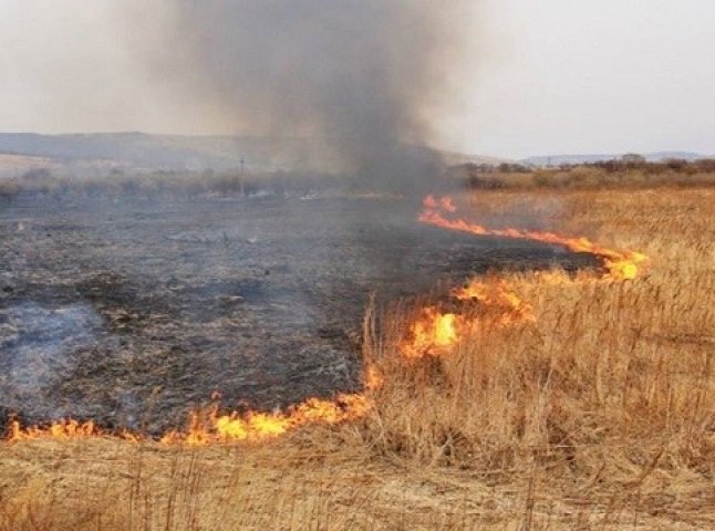 Екологи попереджають закарпатців про небезпеку