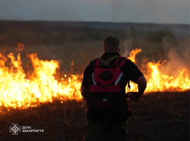 Рятувальники показали, як ліквідували масштабну пожежу на Ужгородщині