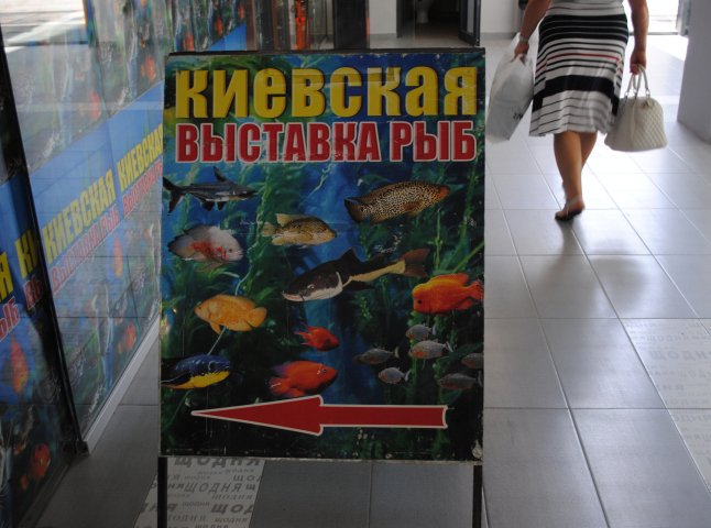 У Мукачеві відкрили виставку риб (ФОТОРЕПОРТАЖ)