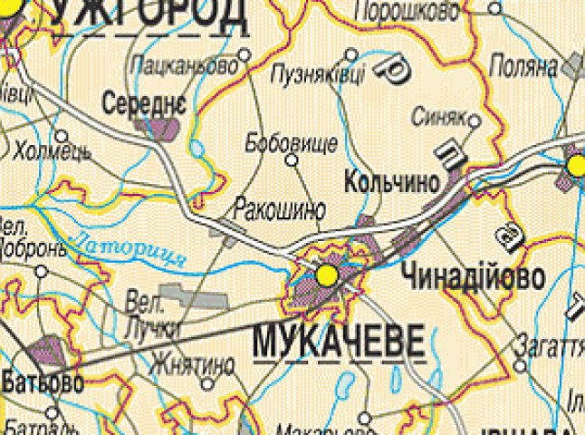 Підприємства Мукачівщини лідирують за обсягами реалізації послуг споживачам