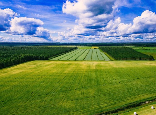 Вирішили продовжити іще на 3 роки: який закон підписав сьогодні Зеленський