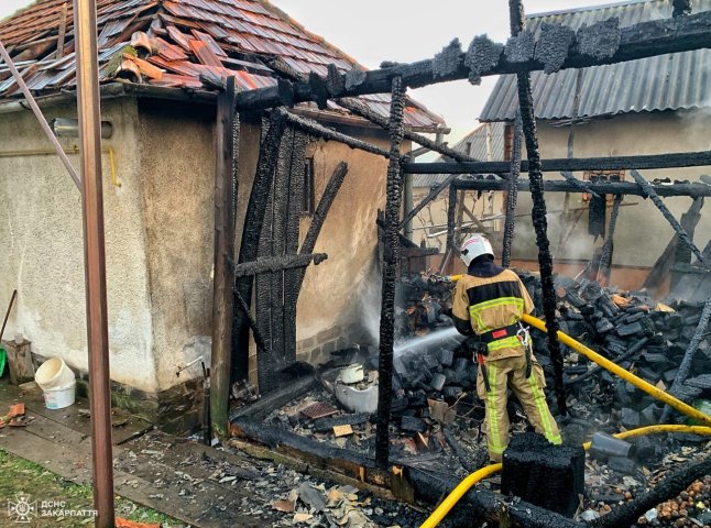 На Мукачівщині рятувальники та місцеві жителі гасили пожежу