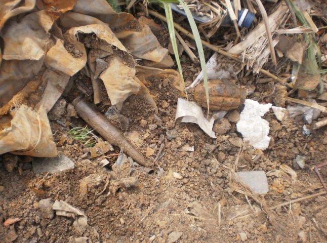 На Мукачівщині чоловік на власному городі знайшов гранату