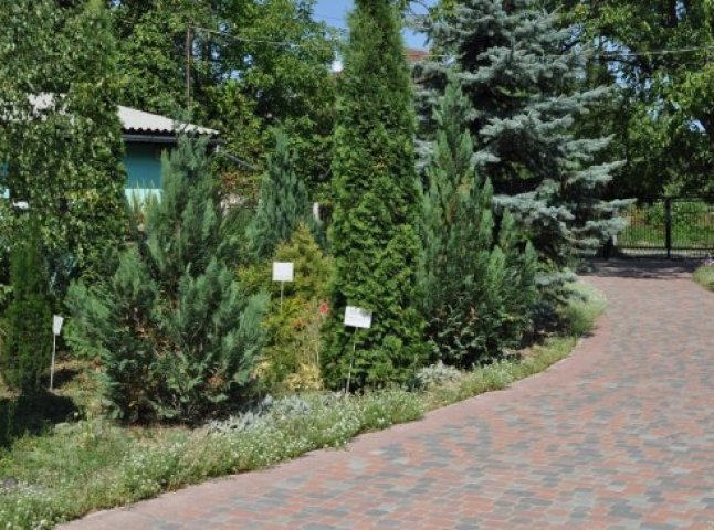 У Мукачеві депутати хочуть закрити місцевий еколого-натуралістичний центр, – директор закладу