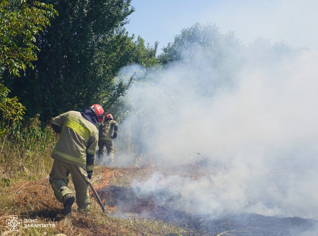 Рятувальники розповіли про пожежу, яку вчора гасили в Ужгороді Рятувальники розповіли про пожежу, яку вчора гасили в Ужгороді