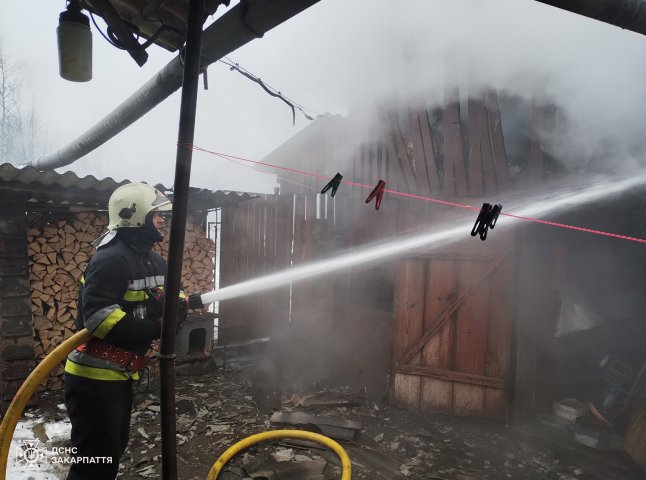 Жінка покликала на допомогу: що сталось в одному з сіл Ужгородського району