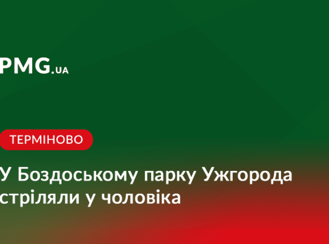 Нічна стрілянина в Ужгороді: потерпілий заявляє про напад у Боздоському парку