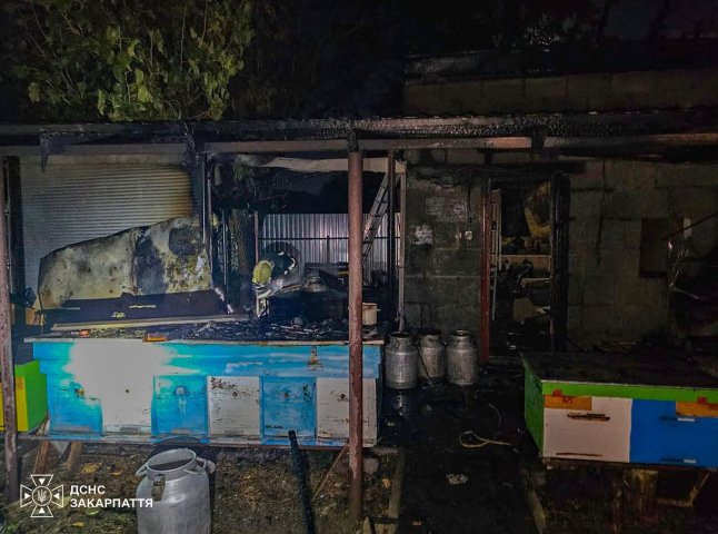 Пожежа на обійсті бджолярів у Мукачеві ледь не перекинулася на будинки поруч