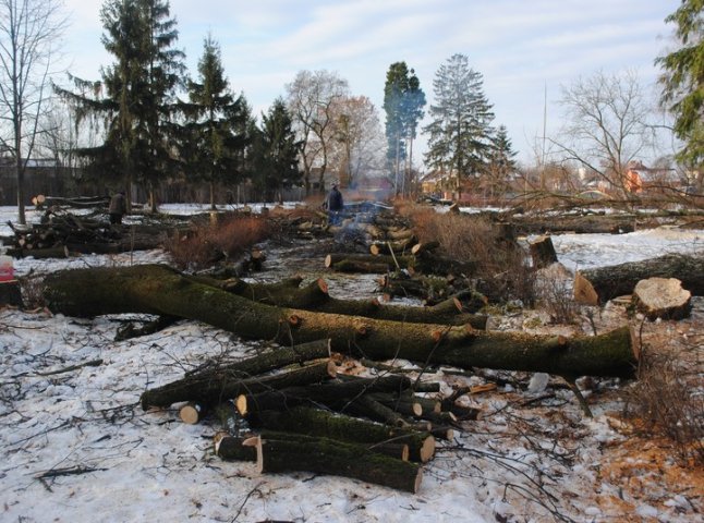 У Комсомольському парку Мукачева вирубують дерева (ФОТО)