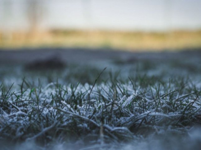 Сніг і морози: синоптики дали прогноз на наступний тиждень