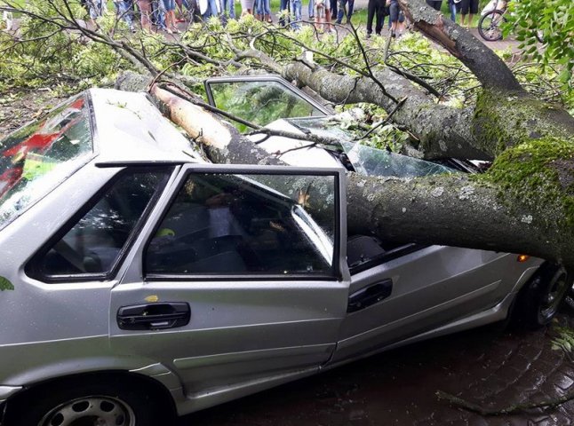 Через сильний вітер аварійне дерево впало на машину