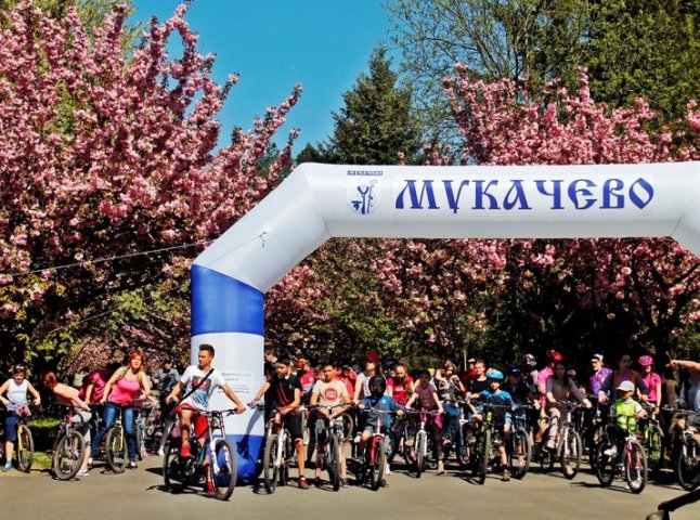У Мукачеві відбувся велозаїзд  «Сакура Bike Ride»