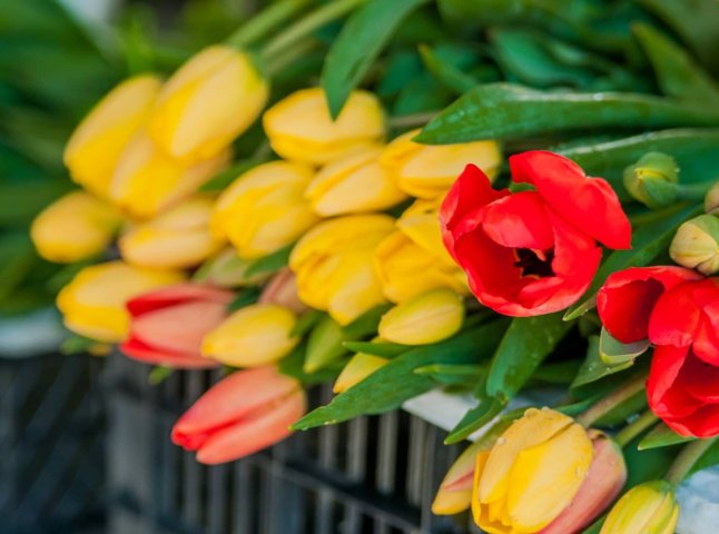 Перелік місць, де в Ужгороді дозволили продавати квіти на початку березня