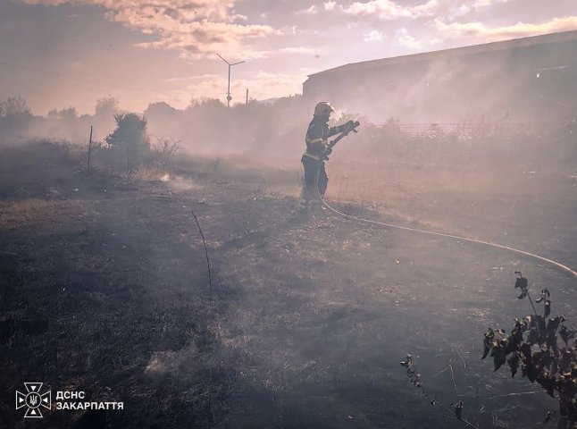 Пенсіонер із Хустщини проігнорував заборону й опинився у лікарні