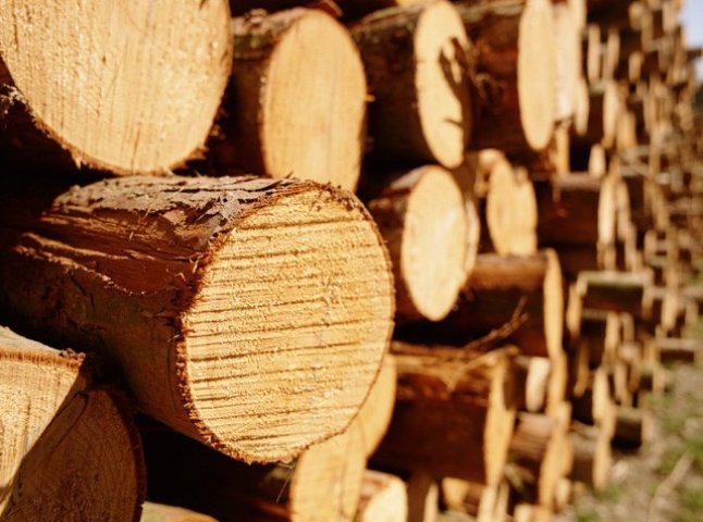 Закарпатські митники вилучили партії лісоматеріалів, вартістю понад 140 тисяч гривень
