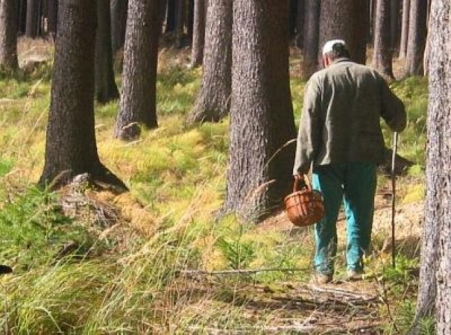 У лісі знайшли тіло грибника із вогнепальним пораненням