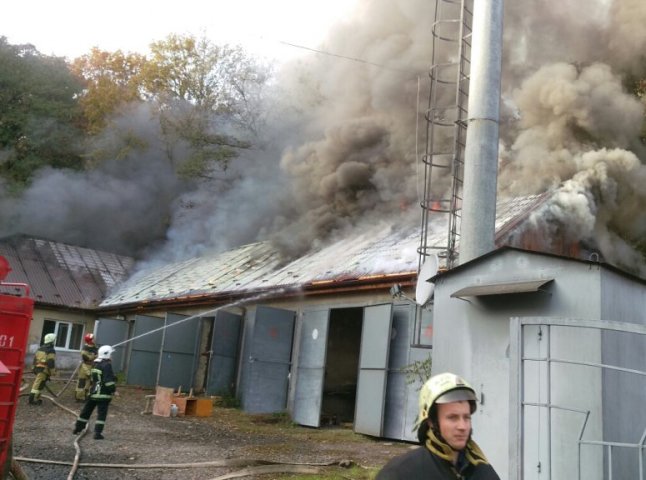 Над Ужгородом стовпи диму: у мікрорайоні Шахта горять складські приміщення