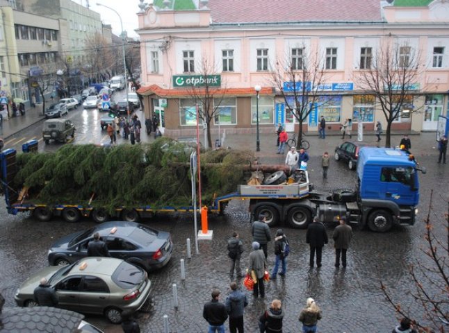 У Мукачево доставили головну ялинку міста (ФОТО)