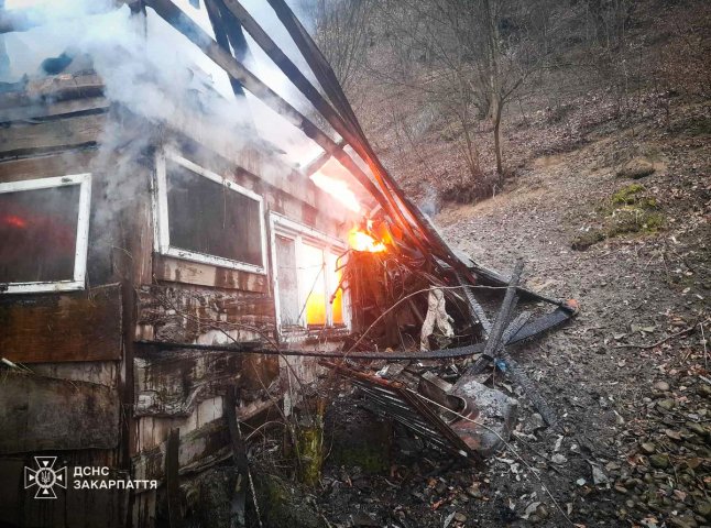 11 вогнеборців гасили пожежу на Тячівщині