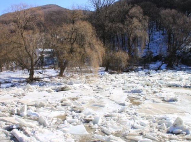 Словаки почали розбирати льодовий затор неподалік Ужгорода важкою технікою