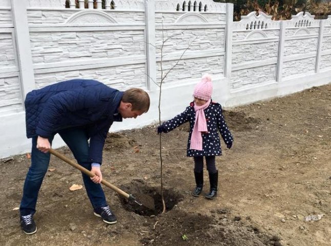 У парку "Дружба" в Хусті, який планують відкрити весною 2016 року, висадили дерева