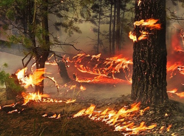 В Закарпатській області оголошено четвертий рівень пожежної небезпеки
