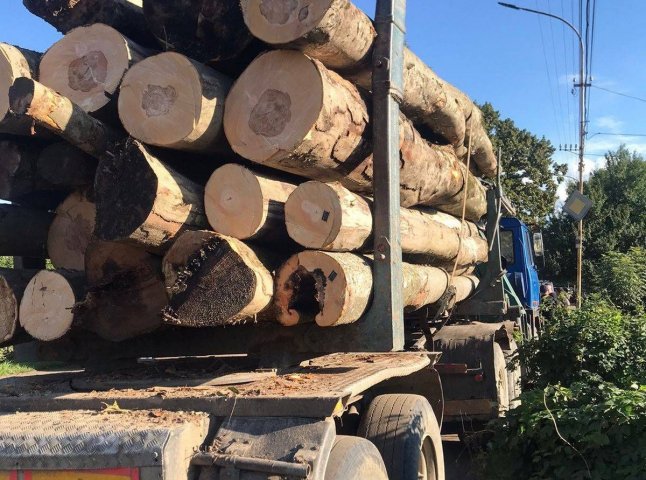 У Сваляві поліція вилучила вантажівку з нелегальною деревиною