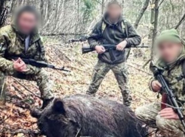 Прикордонники спростували інформацію про незаконне полювання на ведмедя