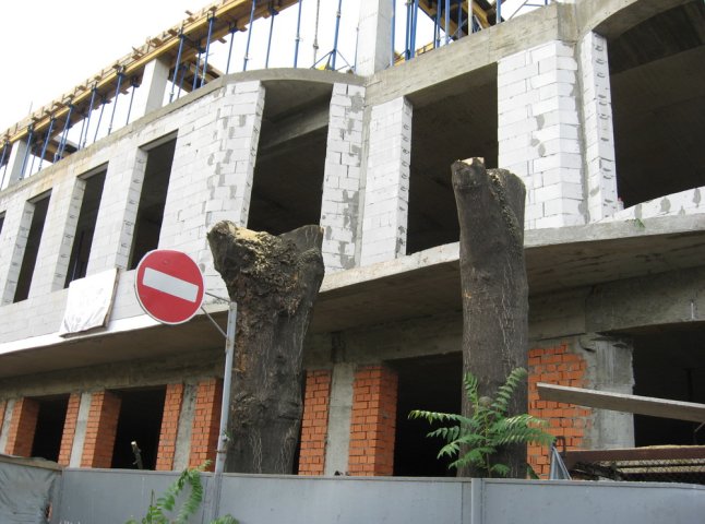 На розі вулиць Швабська-Новака зрізали останнє дерево, що росло впритул до нового будівництва