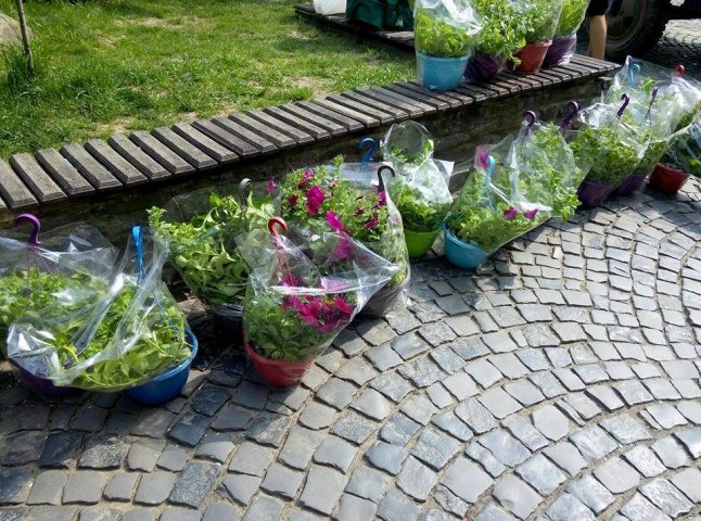 На міських світильниках Мукачева комунальники почали встановлювати вазони з квітами