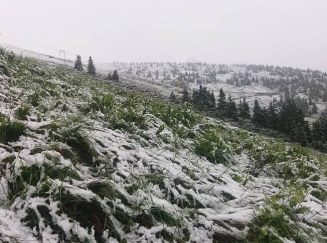 У Карпатах знову випав сніг