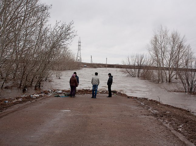 На Виноградівщині вода залила автодорогу