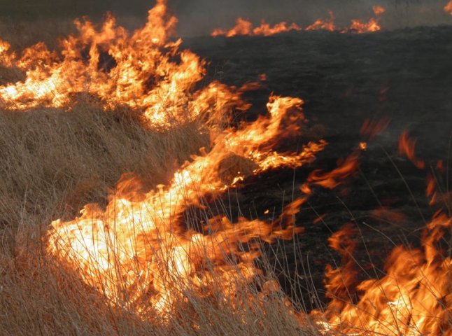 Неподалік монастиря у Мукачеві згоріло майже 3 гектари трави та чагарників