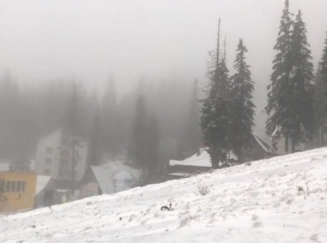 На Закарпатті сьогодні випав сніг: опубліковано відео
